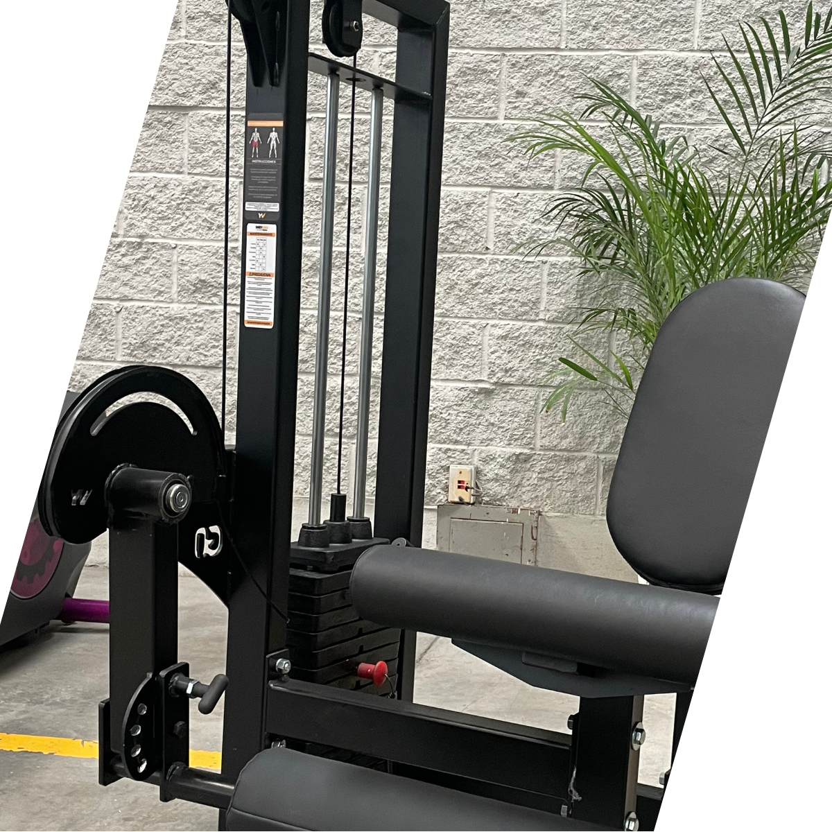 EXTENSION DE CUADRICEPS G0