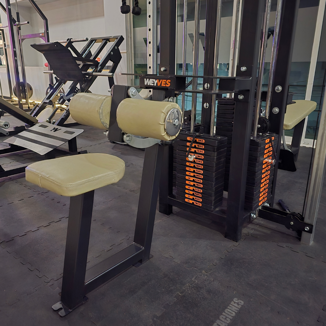 JUNGLA 8 ESTACIONES G25