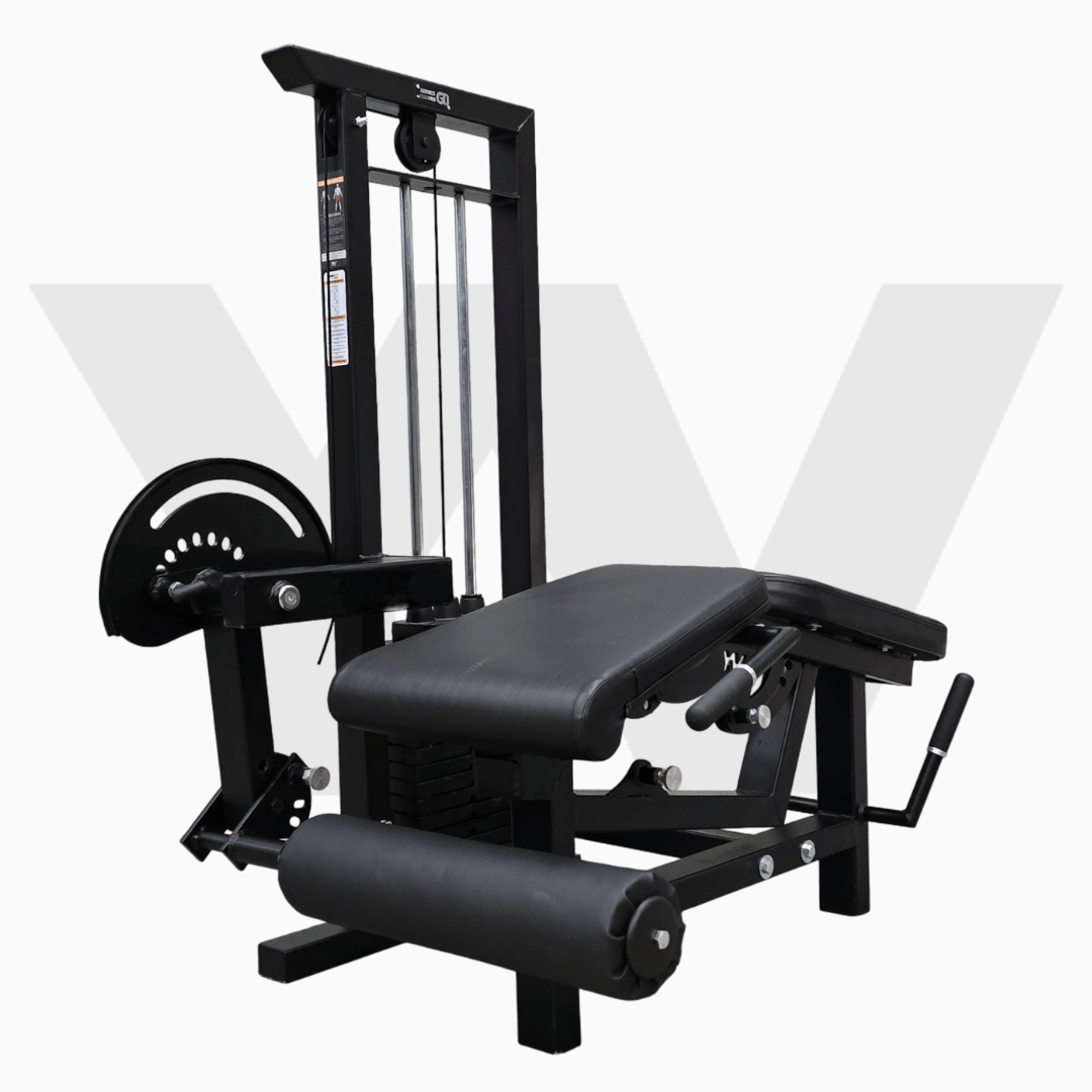 Extensión de pierna dual