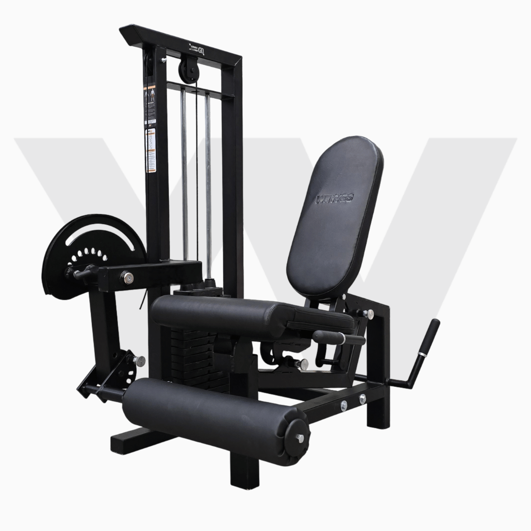 Extensión de pierna dual