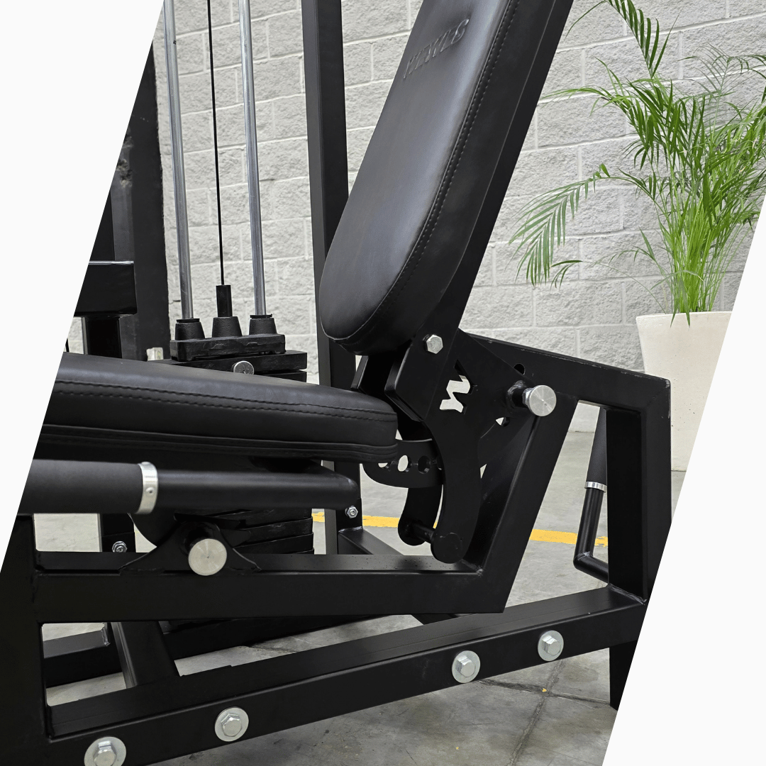 Extensión de pierna dual