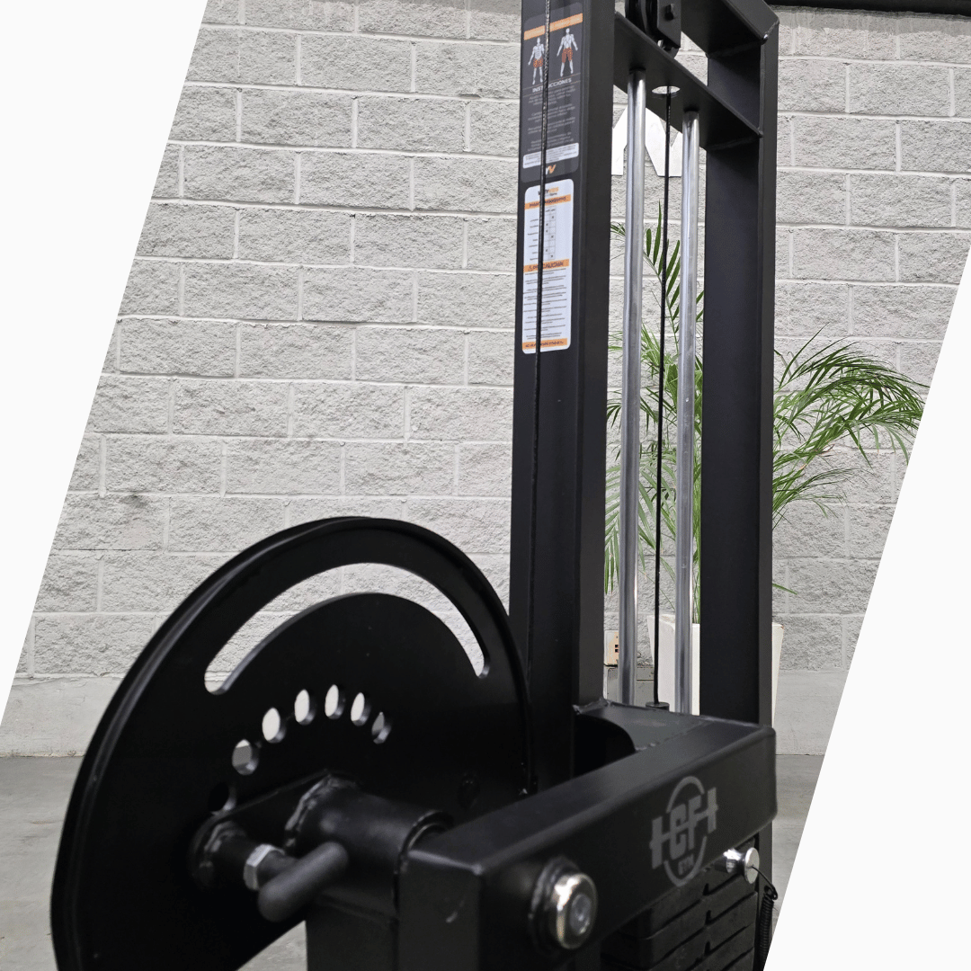 Extensión de pierna dual