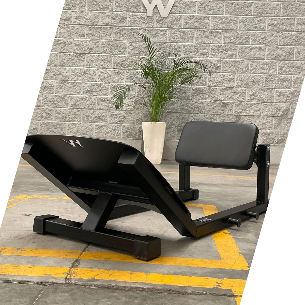 ESTACION DE ELEVACION PELVICA G0