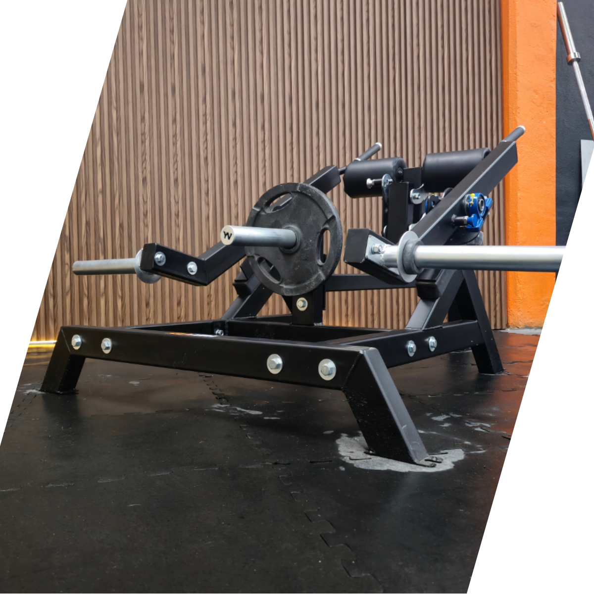 EXTENSIONES DE TRICEPS ISOLATERALES