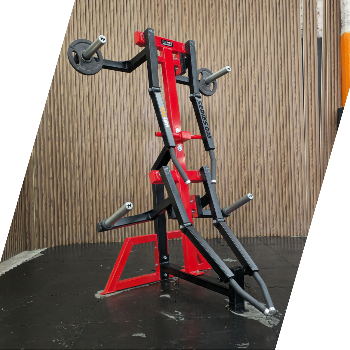 LEVACIÓN DE HOMBRO G25